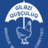 Giləzi quşculuq 