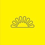 Yellow shop beauty 