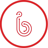 IB Şirkətlər Qrupu 