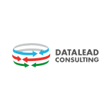 DataLead Consulting