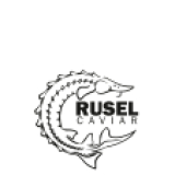 Rusel Group 