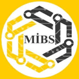 MİB Solution 